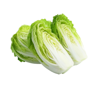 Fresh Cabbage (Band Gobi)