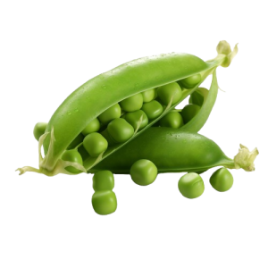 Fresh Peas (Matar)