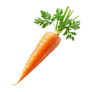 Carrot