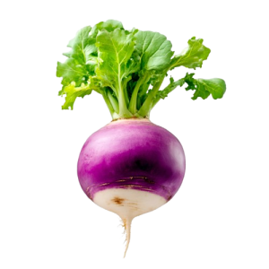 Fresh Turnip (Shaljam)