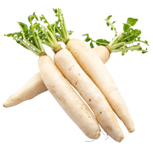 Radish (Mooli)