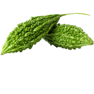 Fresh Bitter Gourd (Karela)-1kg