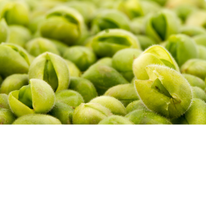 Fresh Choliya (Green Chickpeas / Green Chana)-1kg